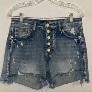 Judy Blue Dark Wash Distressed Jean Shorts
